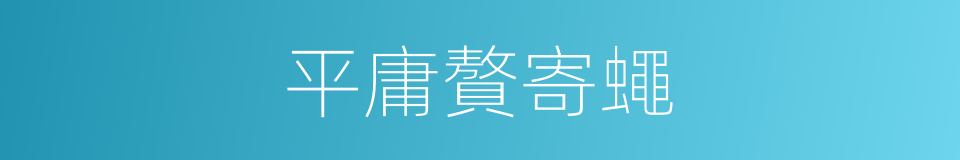 平庸贅寄蠅的同義詞