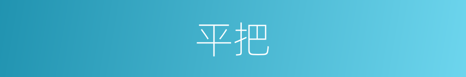平把的同义词