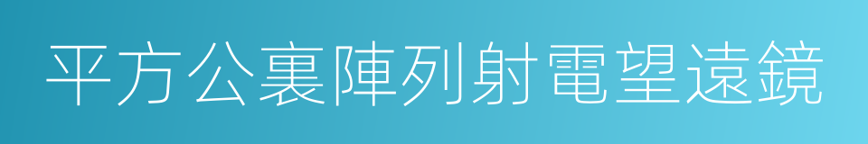 平方公裏陣列射電望遠鏡的同義詞