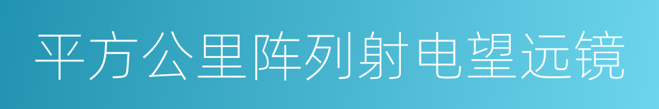 平方公里阵列射电望远镜的同义词