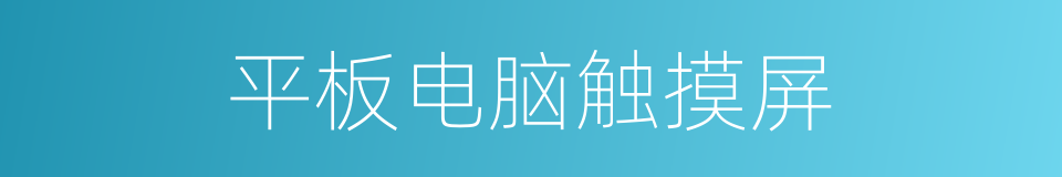 平板电脑触摸屏的同义词
