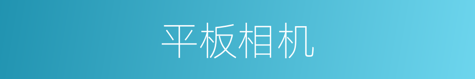 平板相机的同义词
