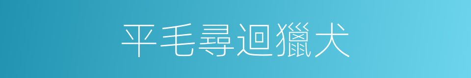 平毛尋迴獵犬的同義詞
