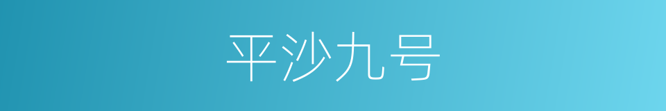 平沙九号的同义词