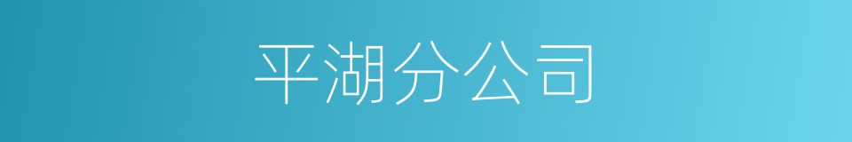 平湖分公司的同义词