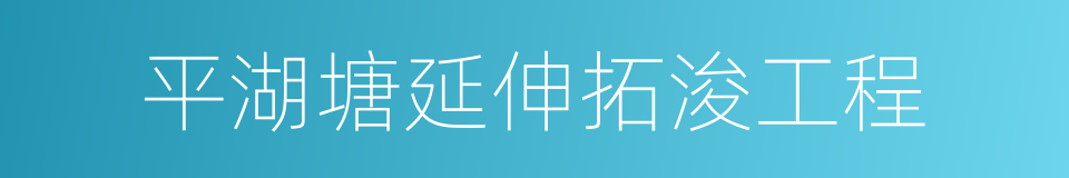 平湖塘延伸拓浚工程的同义词