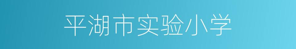 平湖市实验小学的同义词