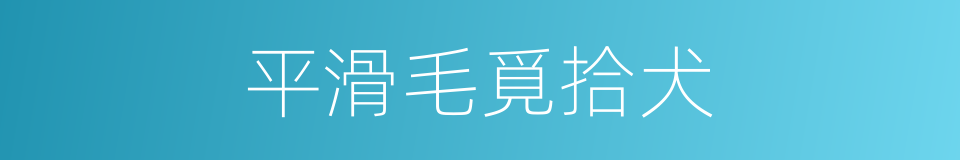 平滑毛覓拾犬的同義詞