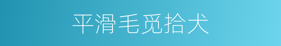 平滑毛觅拾犬的同义词