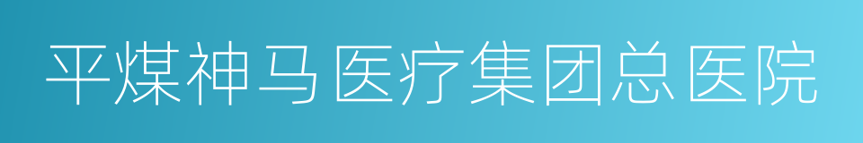 平煤神马医疗集团总医院的同义词