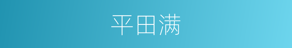 平田满的同义词