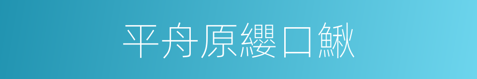 平舟原纓口鰍的同義詞