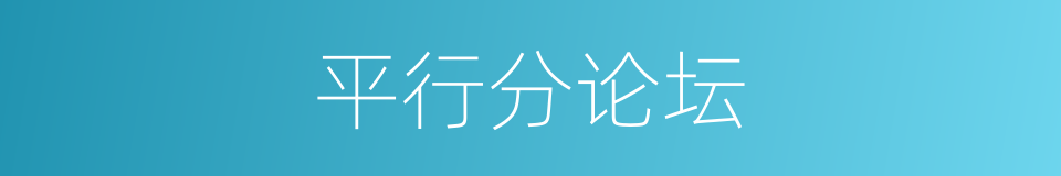 平行分论坛的同义词