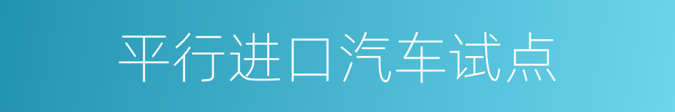 平行进口汽车试点的同义词