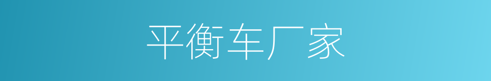 平衡车厂家的同义词