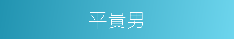 平貴男的同義詞