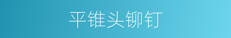 平锥头铆钉的同义词