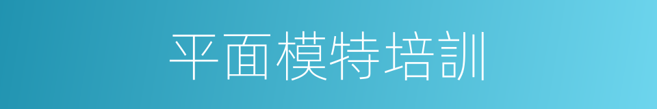 平面模特培訓的同義詞