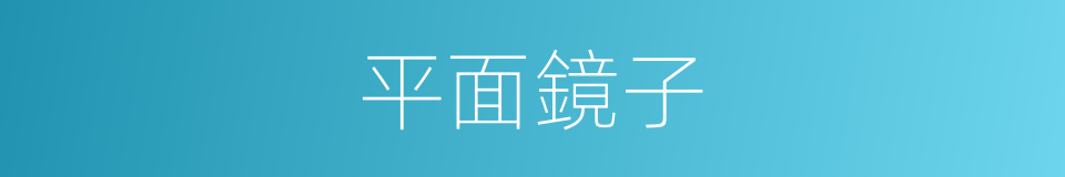 平面鏡子的同義詞