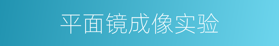 平面镜成像实验的同义词