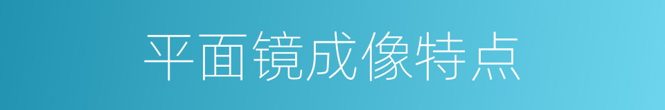 平面镜成像特点的同义词