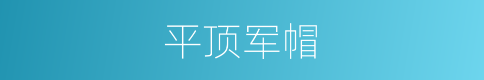 平顶军帽的同义词