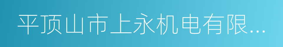 平顶山市上永机电有限公司的同义词