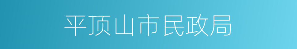 平顶山市民政局的意思