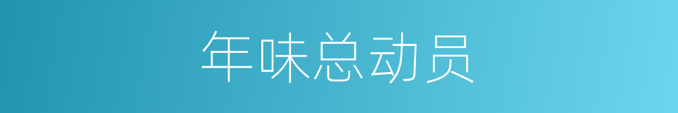 年味总动员的同义词