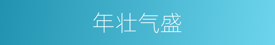 年壮气盛的意思