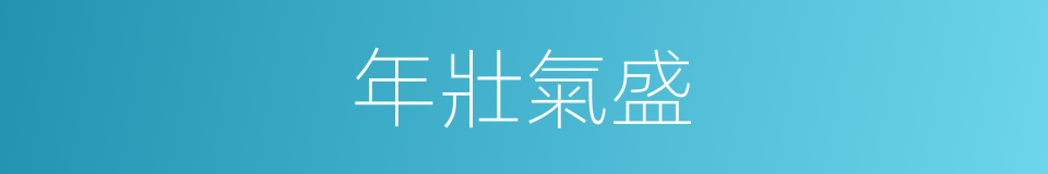 年壯氣盛的意思