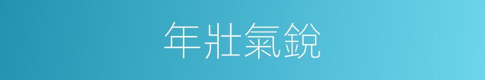 年壯氣銳的意思