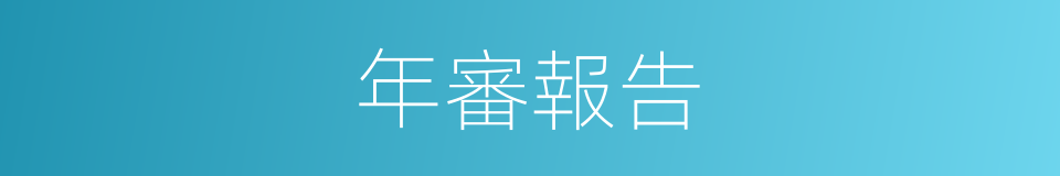年審報告的同義詞