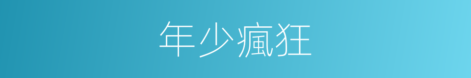 年少瘋狂的同義詞