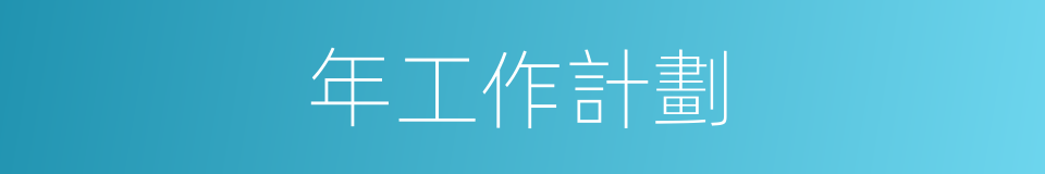 年工作計劃的同義詞