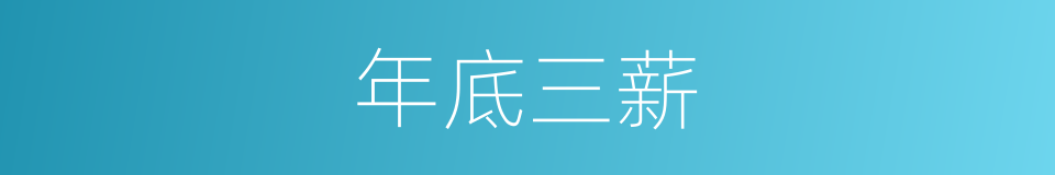 年底三薪的同义词