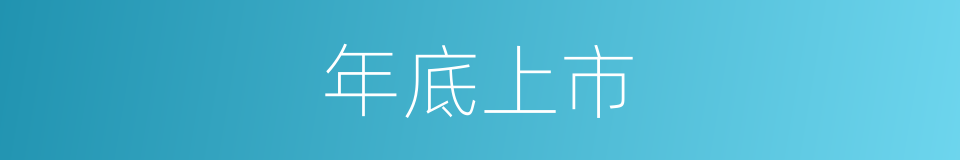 年底上市的同义词