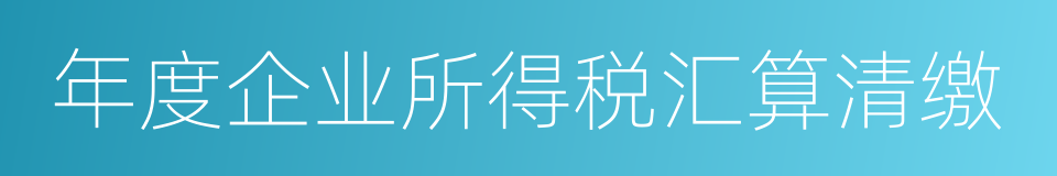 年度企业所得税汇算清缴的同义词