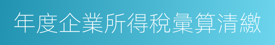 年度企業所得稅彙算清繳的同義詞