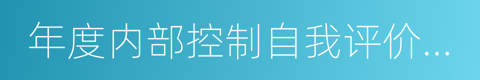 年度内部控制自我评价报告的同义词