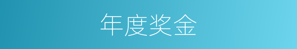 年度奖金的同义词