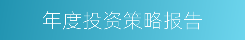 年度投资策略报告的同义词