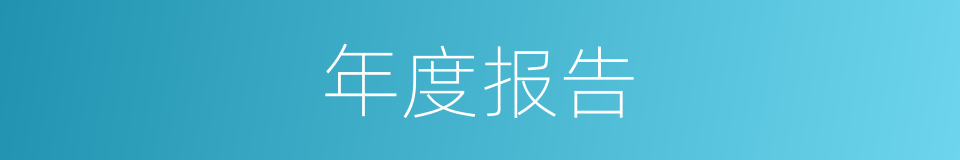 年度报告的同义词