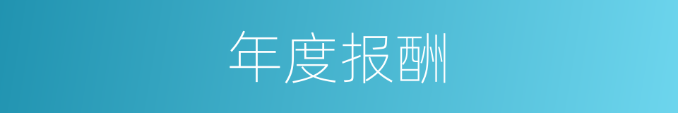 年度报酬的同义词