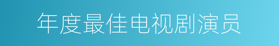 年度最佳电视剧演员的同义词