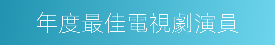 年度最佳電視劇演員的同義詞