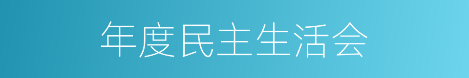 年度民主生活会的同义词