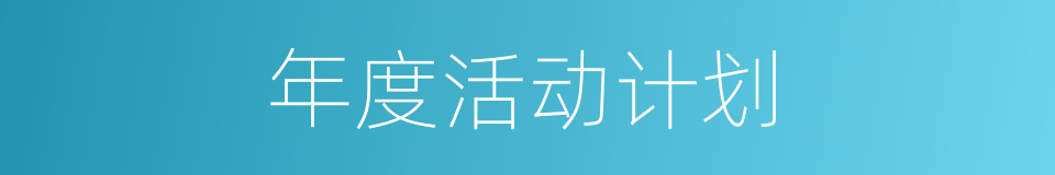 年度活动计划的同义词