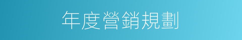 年度營銷規劃的同義詞