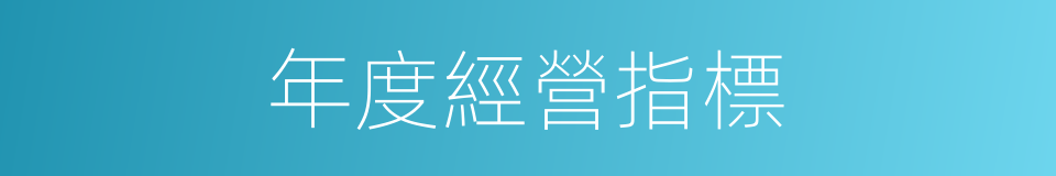 年度經營指標的同義詞